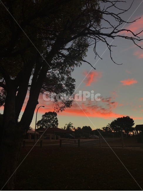 노을,해질녘,공원,하늘,구름,그림자,나무,sunset,park,sky,cloud,shadow,자연,풍경,nature,landscape,실루엣,그림자,silhouette,shadow,outdoors,옥외