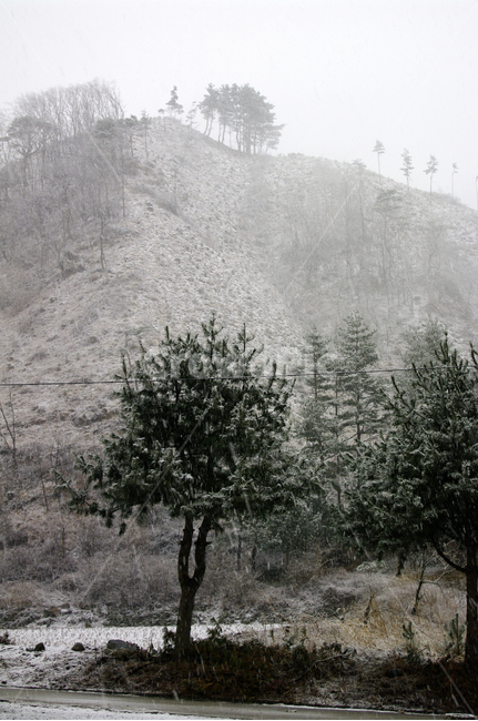 겨울,winter,산,나무,눈,겨울,계절,winter,season
