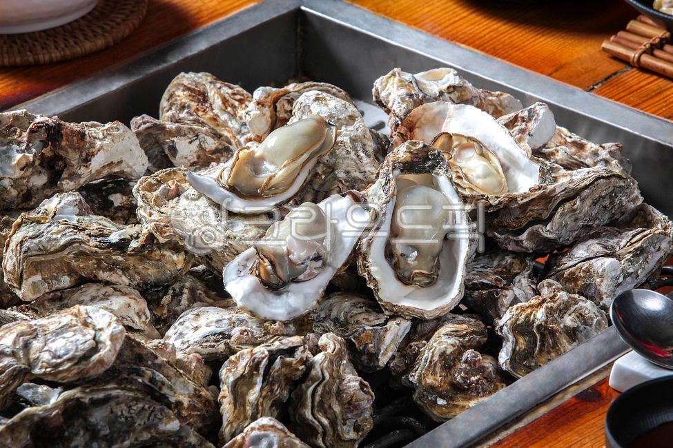 굴,굴구이,석화,석화굴,석화굴구이,통영굴,석화찜,굴석화찜,생굴,생굴구이,석화굴찜,해산물,해산물요리,수산물,통영생굴,통영석화굴,통영굴구이,여수굴,여수굴구이,여수석화,여수석화굴,여수굴찜,여수석화찜,여수석화굴찜,음식,제철굴,제철석화굴,제철요리,음식점,통영굴찜,한국음식,통영석화,통영석화구이,통영석화굴구이,바다우유,여수석화굴구이,굴찜,생굴찜,생굴요리,굴요리