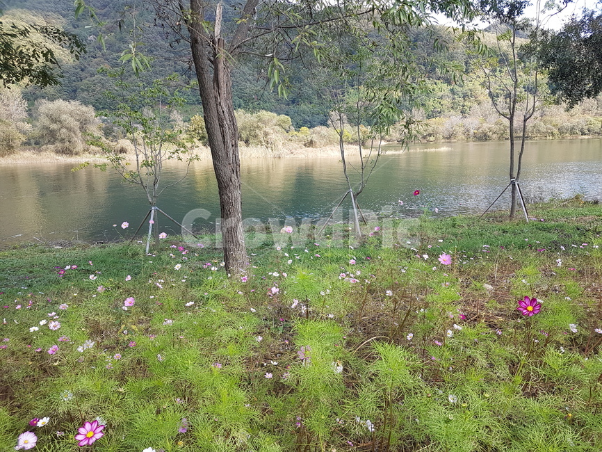 water,물,nature,자연,outdoors