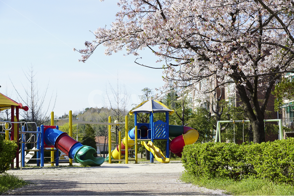 벚꽃,풍경,꽃,봄,놀이터,파란하늘,식물,자연,Landscape,cherryblossom,flower,spring,playground,bluesky,plants,nature,봄,계절,spring,season,놀이공원,놀이동산,놀이터,amusement park,playground,play area,놀이 공간,운동장