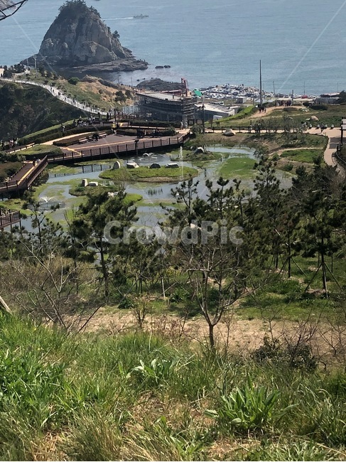 오륙도,연못,풍경,바다,섬,나무,다리,자연,풍경,nature,landscape,outdoors,옥외,scenery,경치