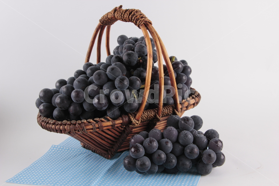 food,fruit,과일,grapes,포도,음식,식재료,요리,food,cook,meal,dishes,food reserves,과일,열매,fruit
