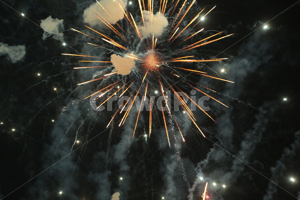 밤하늘,불빛,폭죽,별빛,야경,야경,밤,풍경,nightscape,night,landscape,축제,행사,festival,carnival,event,nature,자연,outdoors,옥외,invertebrate,무척추 동물,animal,동물,spider,거미,arachnid,거미류