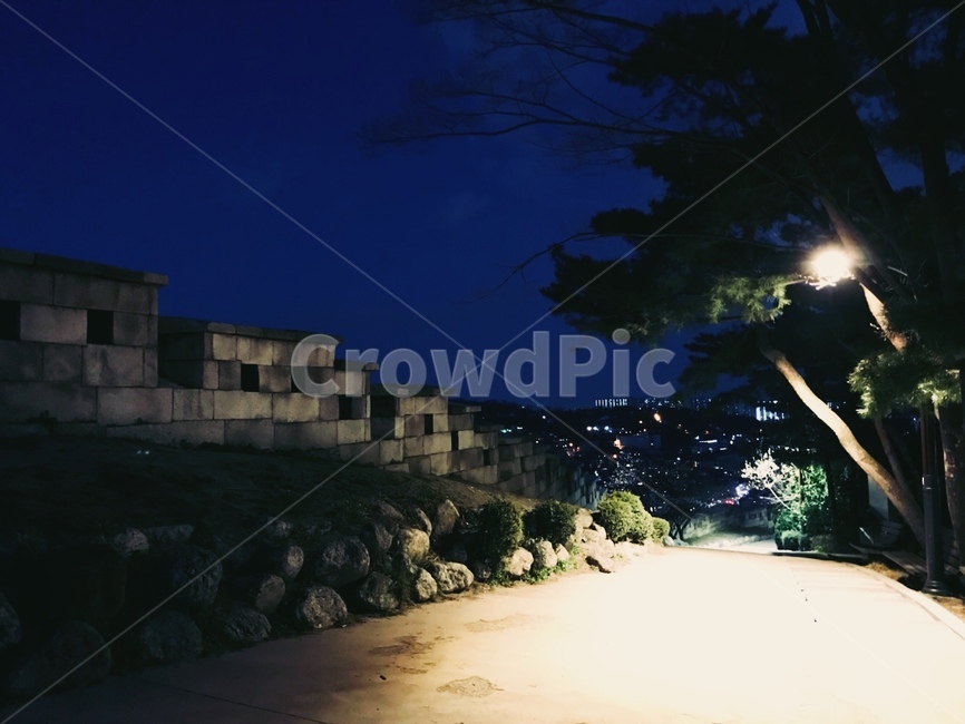 밤,성곽,조명,야경,길,나무,야경,밤,풍경,nightscape,night,landscape,도시,city,한국도시풍경,한국도시경관,korea cityscape