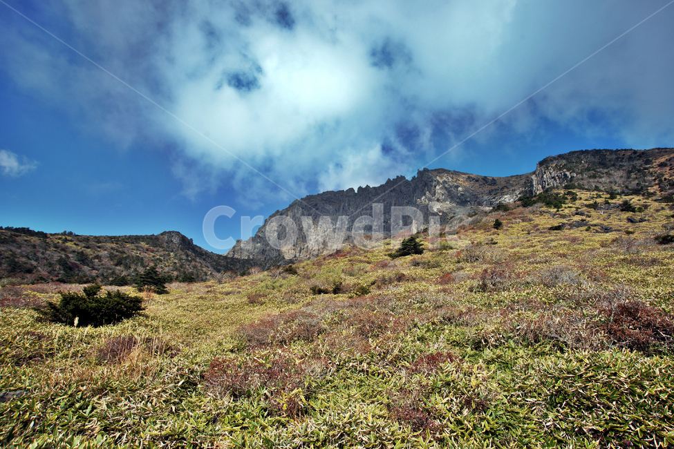 남벽,한라산,제주도,한라산국립공원,돈내코코스,조릿대,관목,푸른하늘,구름,암벽,제주도,jeju,jeju island,nature,자연,outdoors,옥외,plateau,고원