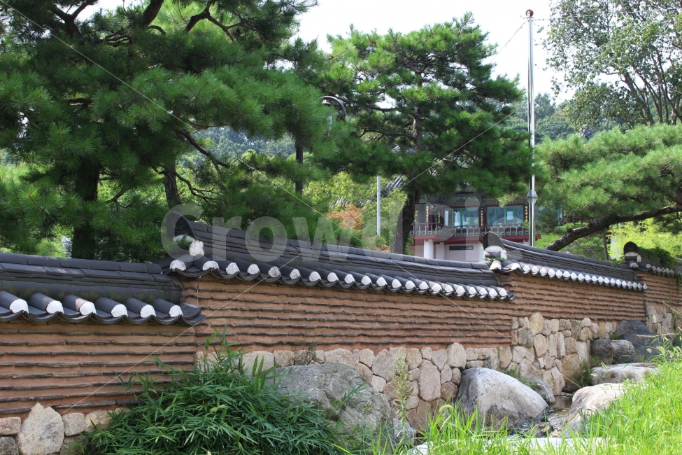 담,담벼락,기와,나무,소나무,침엽수,돌,풀,야외,정원,절,봉은사,한국전통,한국문화,korean traditional,korean culture