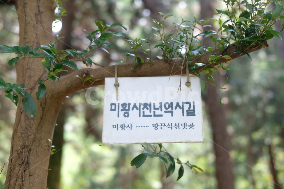미황사,천년,역사길,천년역사길,절