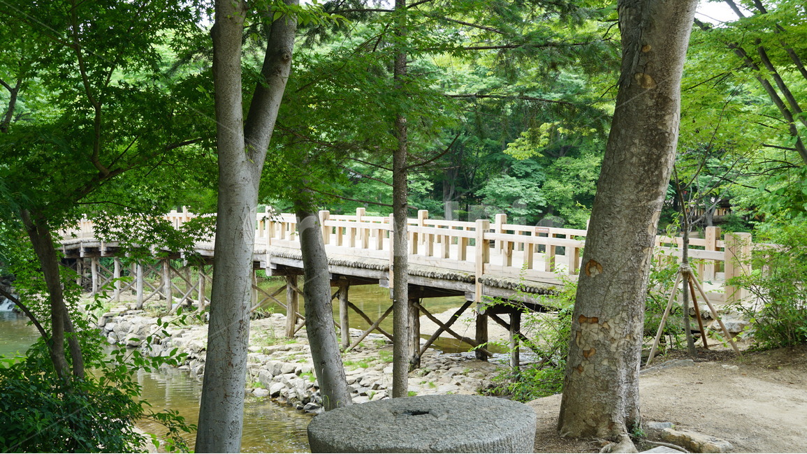 한국,민속촌,집,자연,풍경,자연,풍경,nature,landscape,tree,나무,plant,식물