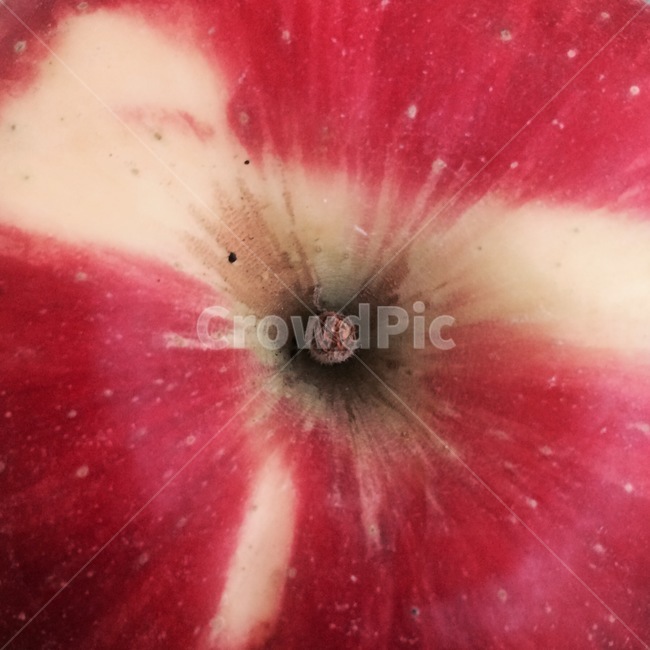 사과,빨강,red,apple,fruit,과일,음식,식재료,요리,food,cook,meal,dishes,food reserves,과일,열매,fruit