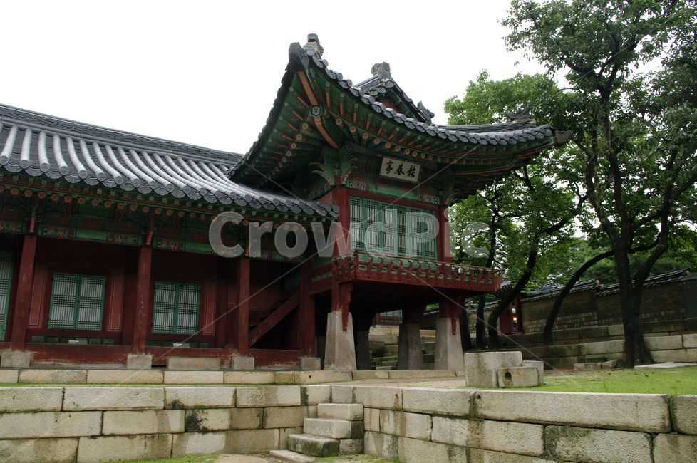 창덕궁,고궁,한옥,전각,전통가옥,기와지붕,건축,traditional,한국전통,한국문화,korean traditional,korean culture,랜드마크,landmark,tourist attraction,한국랜드마크,한국관광지,한국명소,korea landmark,korea tourist attraction,건축물,건물외관,exterior,building,structure,architecture,construction
