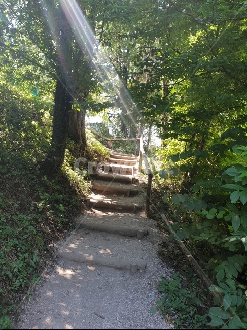 계곡,협곡,슬로베니아,빈트가르,gorge,valley,vintgar,빛,숲,햇빛,나무,자연,풍경,경관,landscape,path,오솔길,숲길,자연,풍경,nature,landscape,arbour,정자,garden,정원,outdoors,옥외