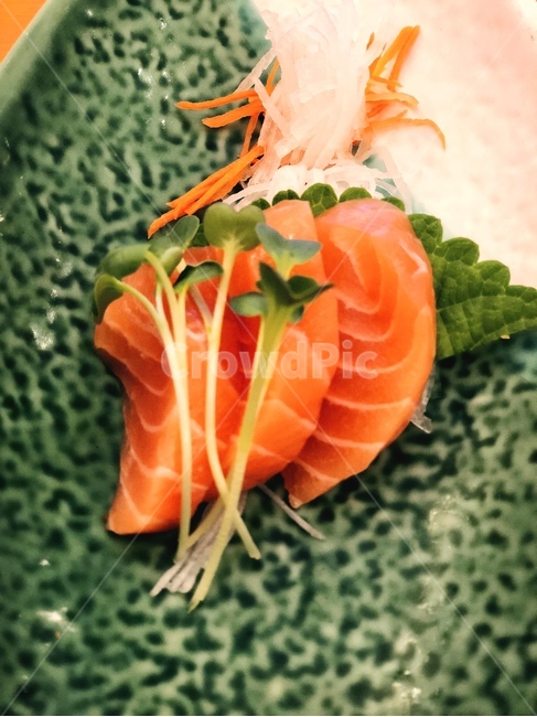연어,음식,일본음식,고급,요리