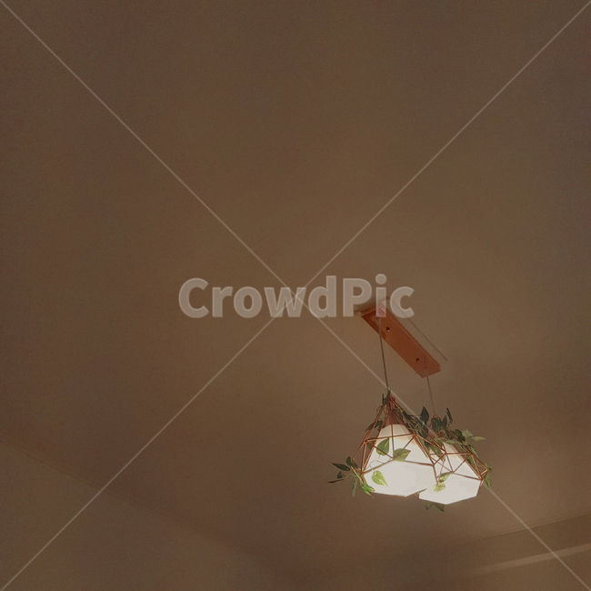 조명,lighting,light,빛,illumination
