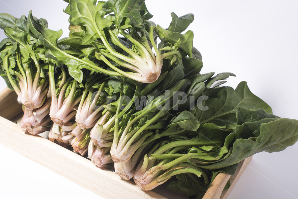 시금치,야채,채소,유기농,식품,녹색,녹색채소,식재료,뿌리,채소,야채,vegetables