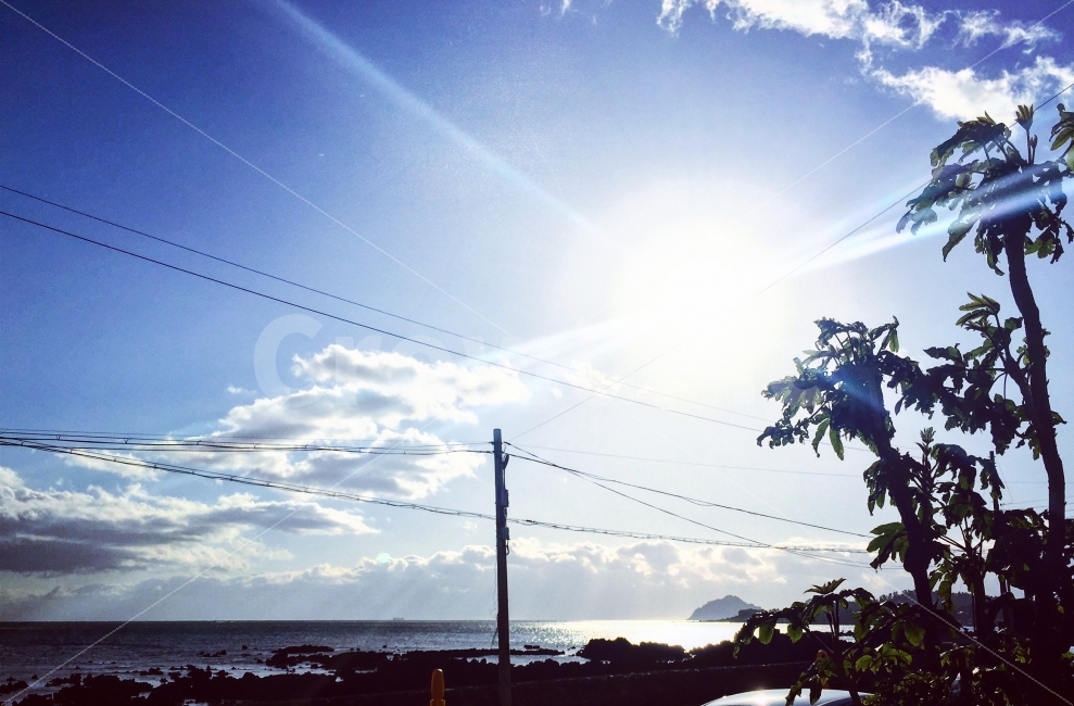 풍경,자연,하늘,해,나무,바다,자연,풍경,nature,landscape,sunlight,햇빛