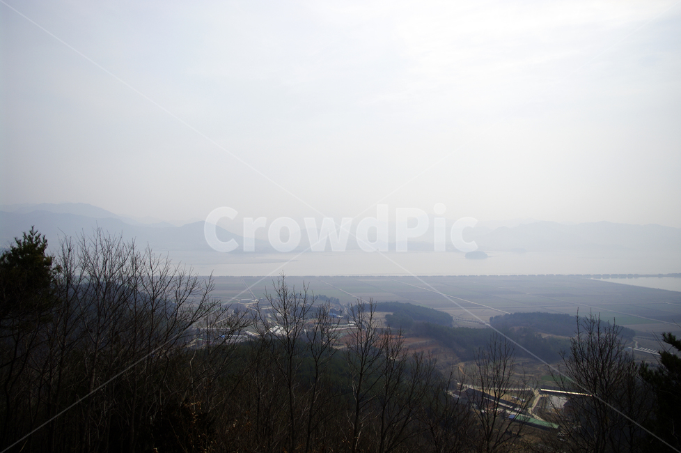 나무,식물,자연,nature,plant,경치,풍경,scenery,landscape