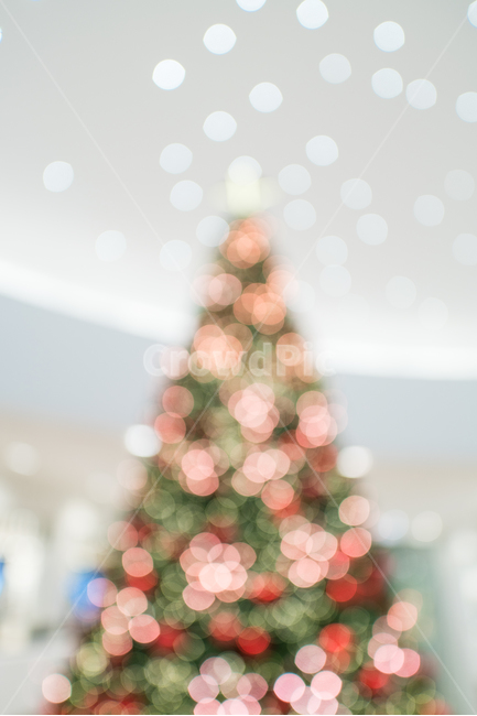 크리스마스,트리,겨울,연말,홀리데이,빛,보케,장식품,반짝임,오너먼트,데코레이션,컬러풀,조명,크리스마스트리,메리크리스마스,겨울,계절,winter,season,축제,행사,festival,carnival,event,메리크리스마스,성탄절,merry christmas,감성,sensible,feeling