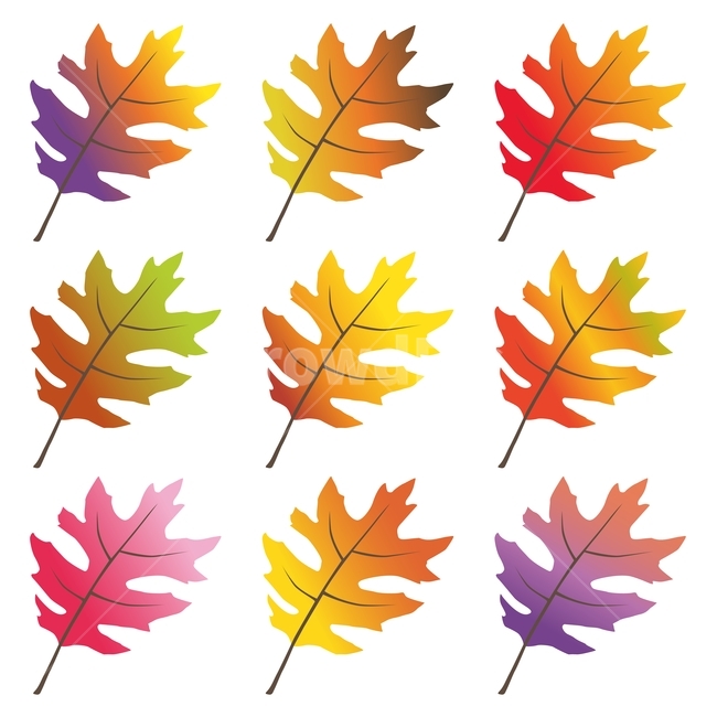 가을,칼라풀,잎새,디자인소스,패턴,벡터,일러스트레이션,illustration,design,colorful,leaves,나뭇잎,단풍잎,10월,11월,시즌,계절,fall,autumn,season,가을소재,pattern,컬러풀,그라데이션,gradation,클립아트,clipart,가을,계절,fall,autumn,season,그래픽,일러스트레이션,graphic,illustration,plant,식물,leaf,잎