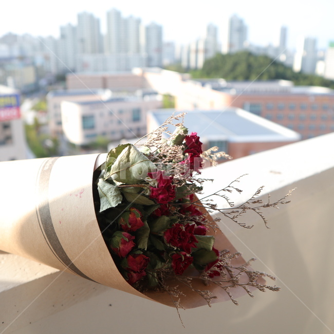 드라이플라워,장미,장미꽃,말린장미,배경