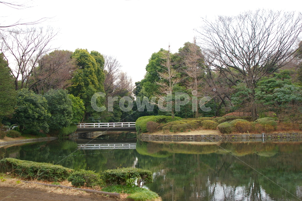 일본,도쿄,공원,풍경,야외,water,물,nature,자연,outdoors,옥외