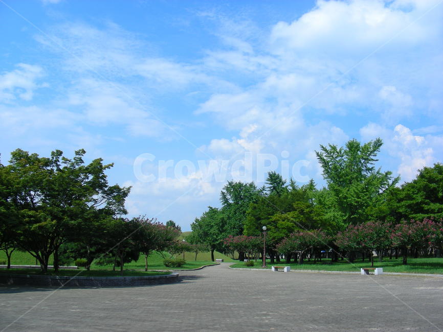 경주,천마총,유적지,공원,배롱나무,산책,자연,나무,숲,하늘
