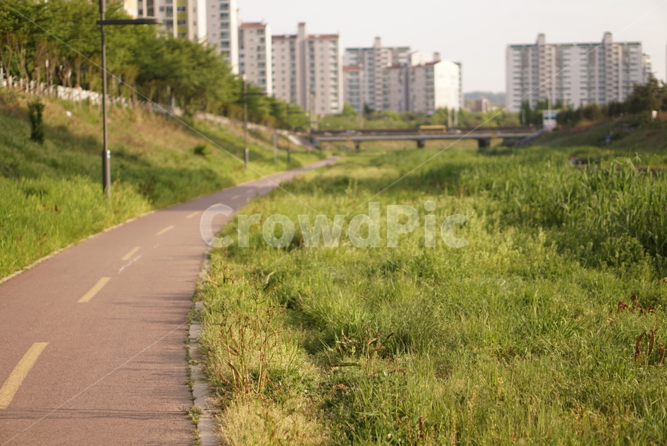 산책,운동,공원,path,통로