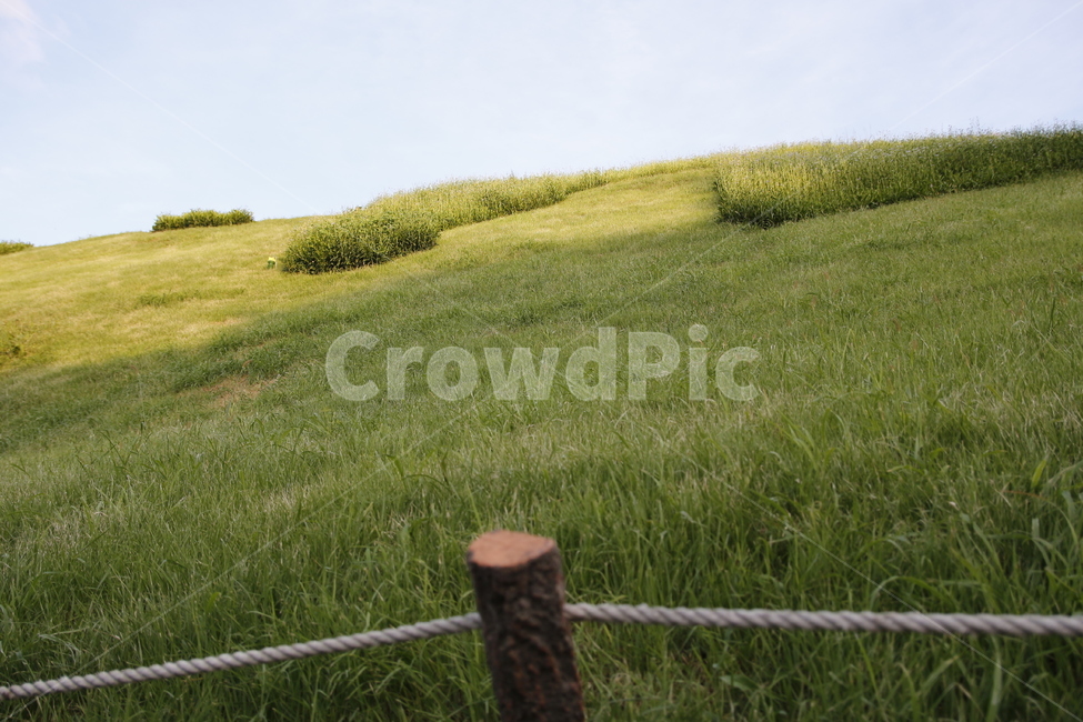풀숲,자연,언덕,풀,녹색,자연,풍경,nature,landscape,outdoors,옥외,grassland,목초지,field,들,plant,식물,grass,잔디