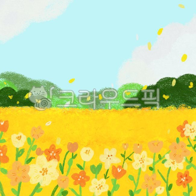 봄,제주도,유채꽃,꽃,그림,field,grassland