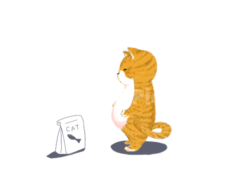 고양이,cat,고양이그림,고양이일러스트,동물,animal,코리안숏헤어,고양이용품,고양이사료,고양이,cat,kitten,kitty,그래픽,일러스트레이션,graphic,illustration