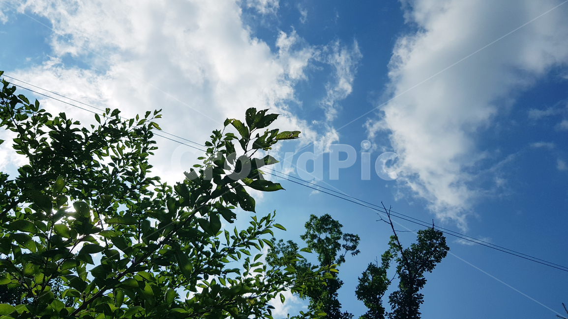 자연,nature,outdoors,옥외,하늘,sky,tree,cloud,식물,자연,plants,nature