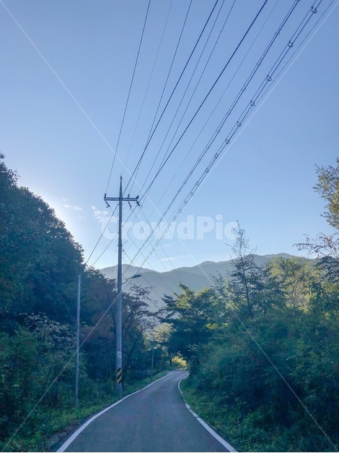 아늘,아침,산길,산속,힐링,자연,풍경,nature,landscape
