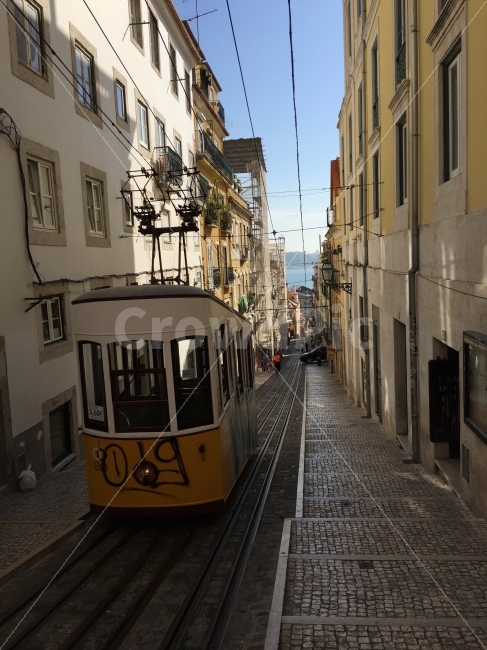 portugal,tram,lisboa,lisbon,fall,autumn,ontheroad,road,yellow,walk,europe,travel,trip,tour,travelphotography,photography,travelpic,travelpicture,picture,memory,lovely,해외,외국,세계,foreign,oversea,world,교통,교통수단,traffic,transportation,walkway,보도,path,통로