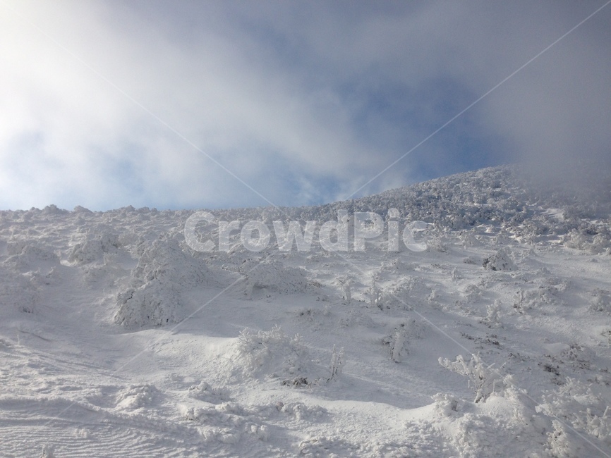 겨울산,설산,한라산,겨울한라산,한라산설산,눈,풍경,계절,환상,snow,winter,snowmount,halla,mthalla,윗세오름