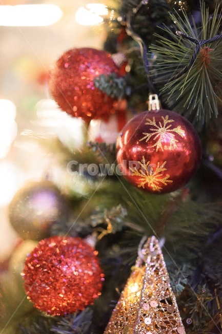 트리,크리스마스,겨울,tree,성탄절,겨울,계절,winter,season,메리크리스마스,성탄절,merry christmas
