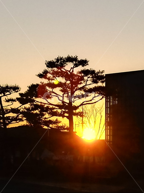 일출,해돋이,옥외,여명,자연,빛,nature,outdoors,광명,자연,풍경,nature,landscape
