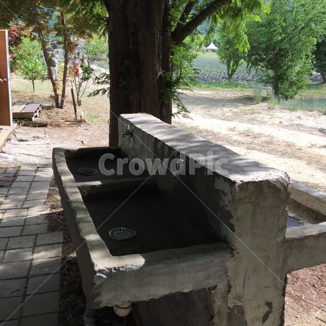 water,물,식수대,수돗물,음수대,시골,추억,급수대