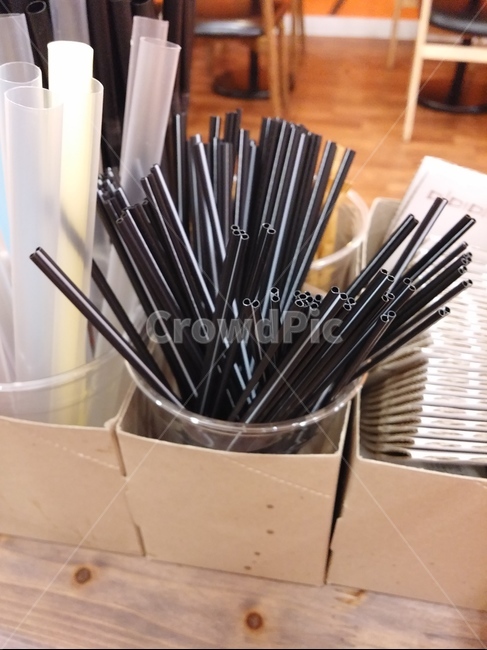 일회용품,커피스틱,빨대,카페,플라스틱