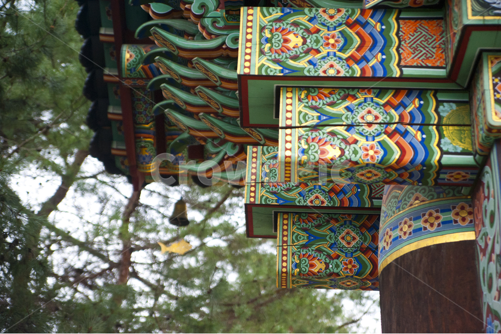 광릉수목원,봉선사,봄,종,절,기둥,처마,형형색색,나무,초록,한국전통,한국문화,korean traditional,korean culture,건축물,건물외관,exterior,building,structure,architecture,construction
