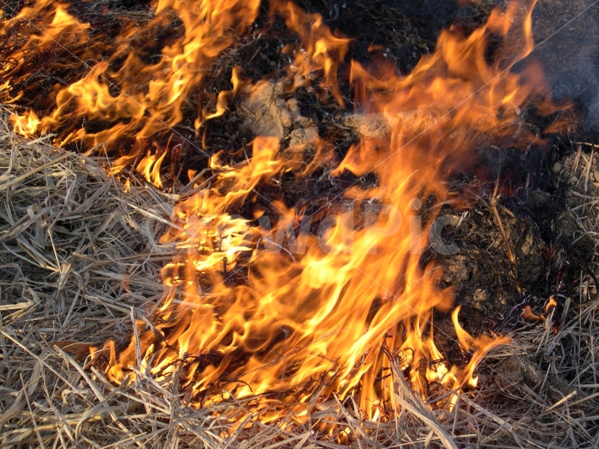 불,화재,fire,볏짚,볏짚태우기