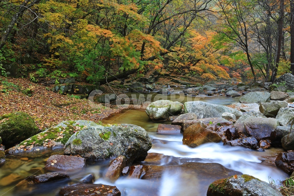 water,물,nature,outdoors,옥외,waterfall,폭포,tree,나무,plant,식물,leaf,잎,stream,흐름,물흐름,강원도,인제,방태산,방태산폭포,방태산가을,단풍,단풍잎,가을,추색,만추,낙엽,계곡,경치,경관,풍경,인제가을