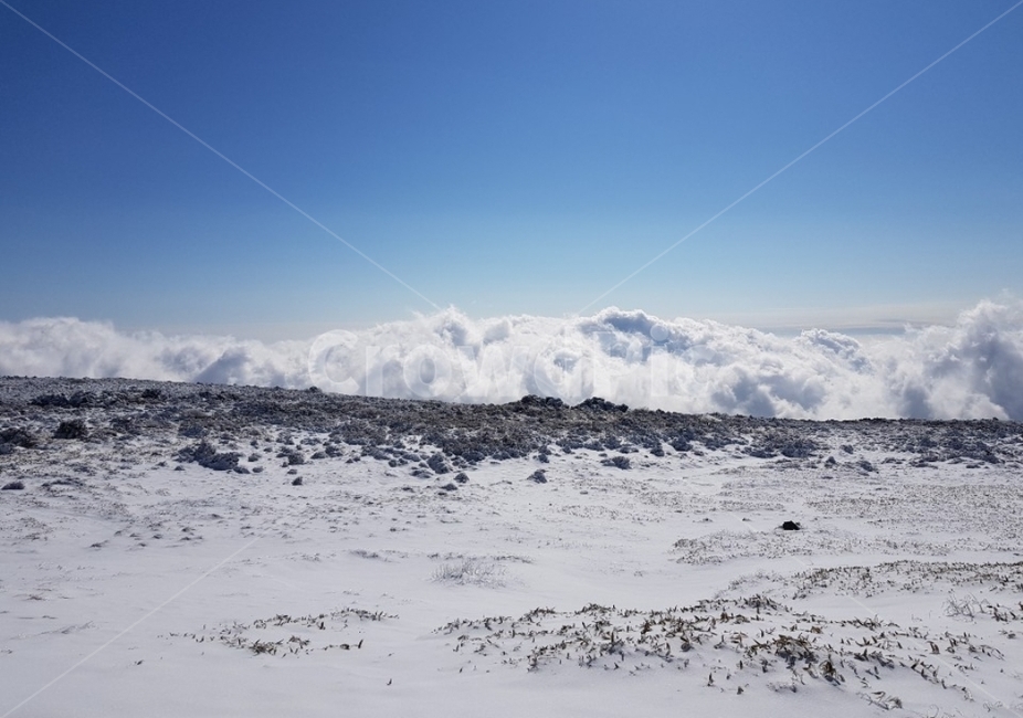 구름,하늘,푸른,눈,한라산,겨울,계절,winter,season,자연,풍경,nature,landscape,mountain,산,outdoors,옥외