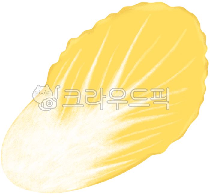 Kimchi,kimchi ingredients,kimchi season,cabbage,cabbage kimchi,kimchi,kimchi event,kimchi volunteer work,organic,cooking,kimchi experience,restaurant,event,event,winter,agricultural products,kimchi illustration,kimchi event,illustration