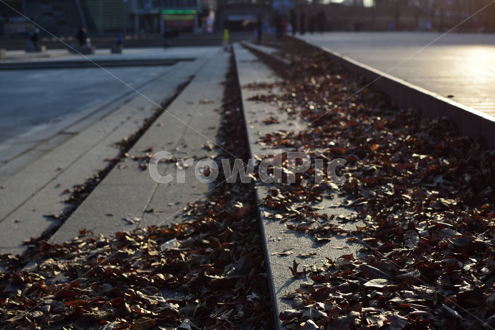 빛,가을,낙엽,계단,light,autumn,fall,stairs,fallenleaves,가을,계절,fall,autumn,season