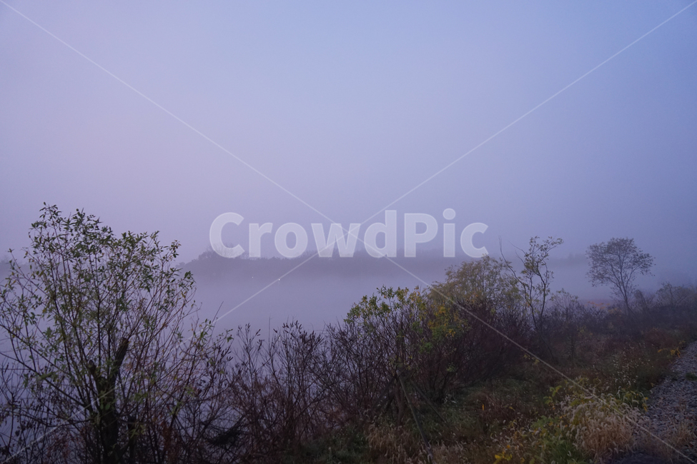 호수,새벽,풍경,안개,물안개,여명,자연,자연,풍경,nature,landscape,weather,날씨,outdoors,옥외