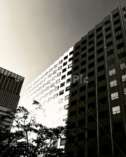 감성,도시,차가움,대비,빛과그림자,빛,그림자,도시,풍경,city,landscape,흑백,모노톤,monochrome,black and white,건축물,건물외관,exterior,building,structure,architecture,construction,건물,office building,사무실 건물
