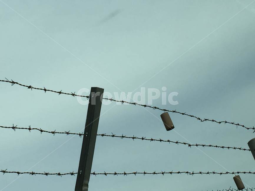 하늘,철조망,깡통,분리,유자철선,sky,wire,barbedwire