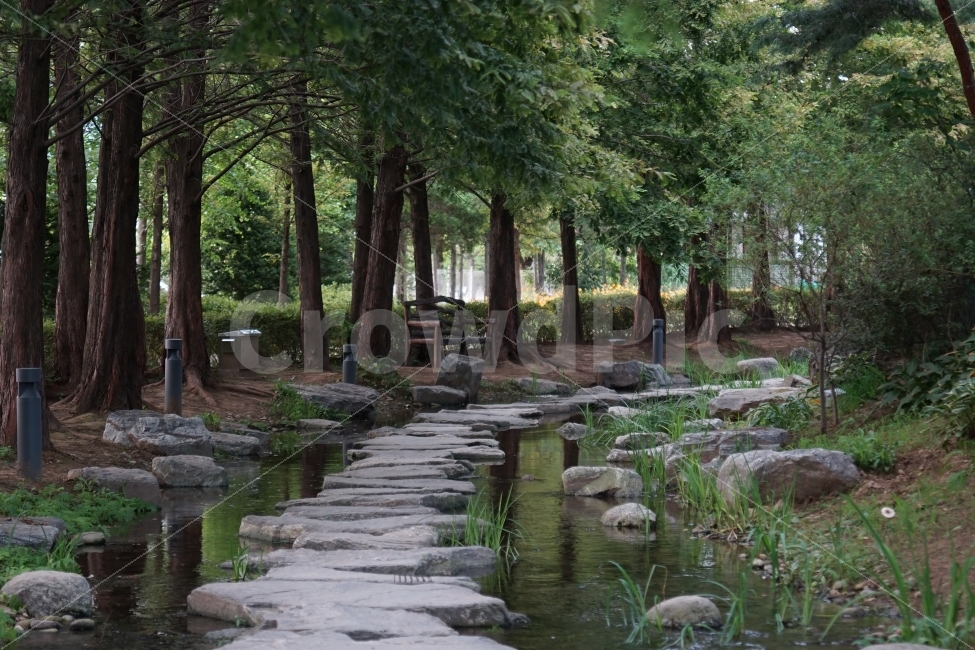 숲길,징검다리길,시냇물,징검다리,오솔길,가을,세미원,자연,풍경,nature,landscape,휴식,힐링,rest,relaxation,healing,flagstone,판석,slate,슬레이트,outdoors,옥외