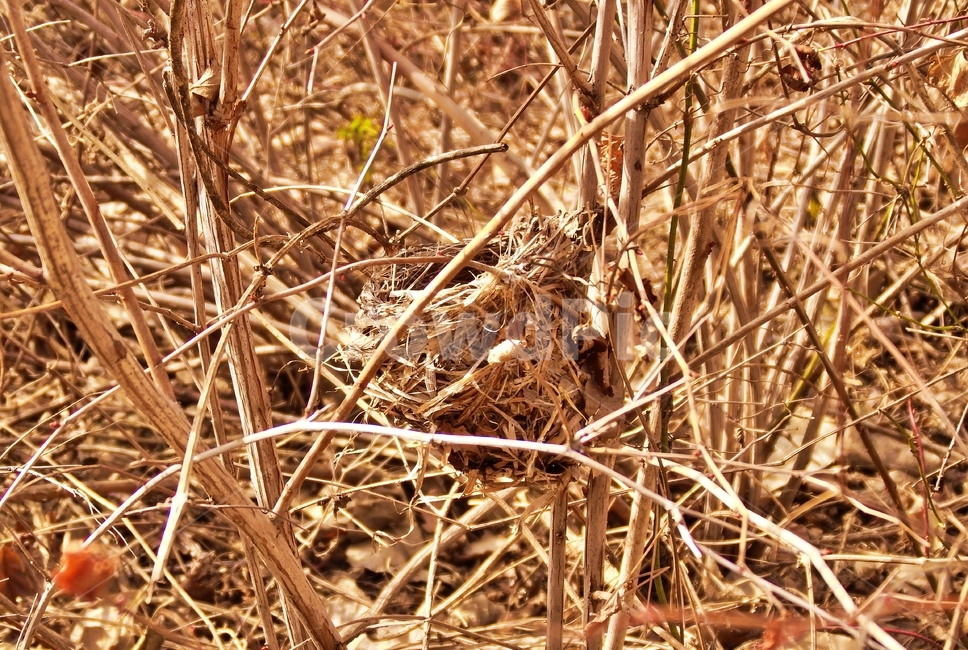 새집,산,산행,가을산속,산속,작은새집,자연,풍경,nature,landscape