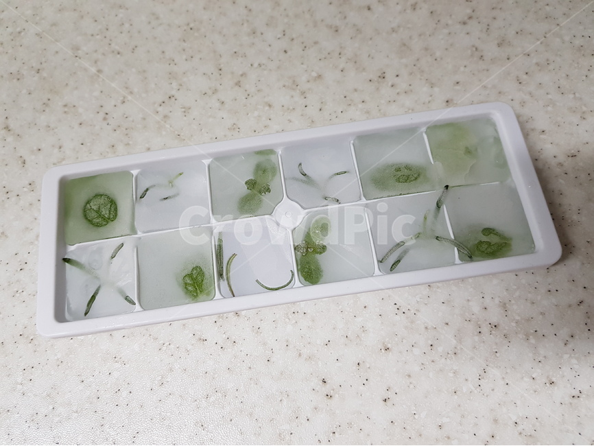 허브,허브얼음,로즈마리,애플민트,허브아이스,herb,herbice,여름,계절,summer,season,nature,자연,outdoors,옥외,ice,빙